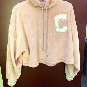 champion cropped hoodie